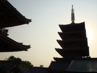DSC00994.JPG